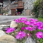 La Bombetta Gialla Di Elisa E Marco