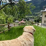 La Bombetta Gialla Di Elisa E Marco Morgex