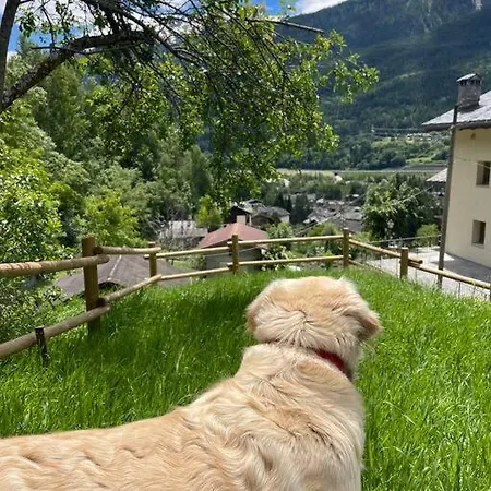 La Bombetta Gialla Di Elisa E Marco Морже