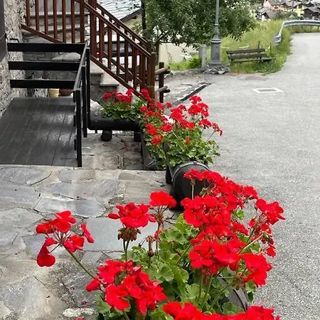 Appartement La Bombetta Gialla Di Elisa E Marco *