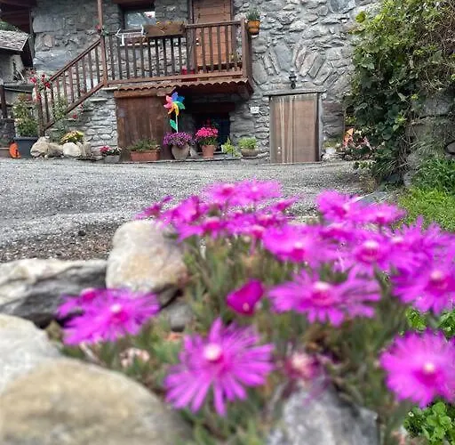 La Bombetta Gialla Di Elisa E Marco