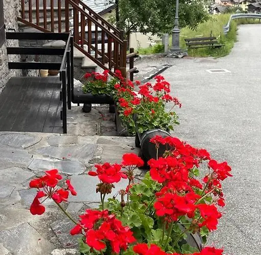 Διαμέρισμα La Bombetta Gialla Di Elisa E Marco *